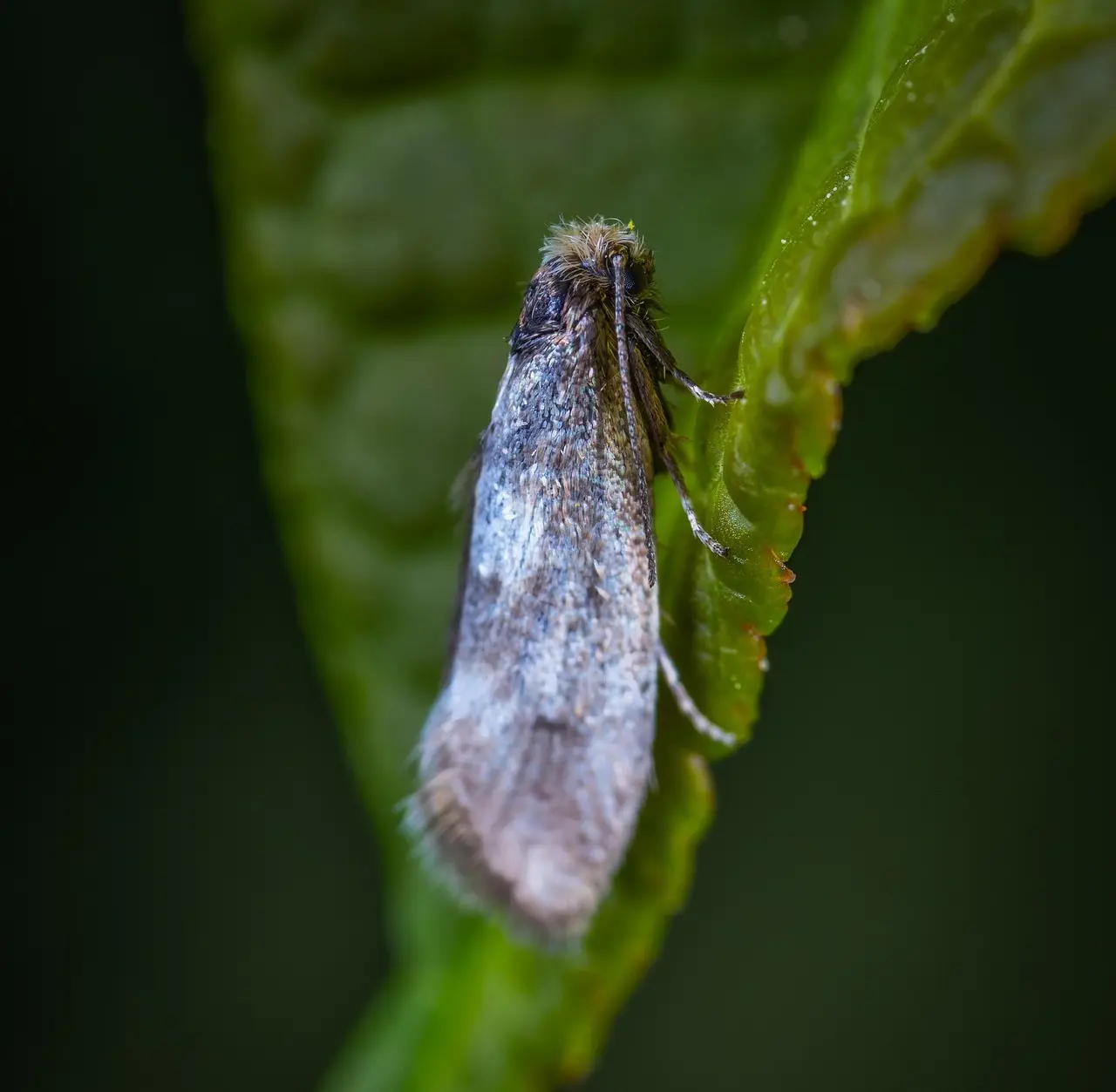 Hvilken årstid er bedst til vandreture i Mols Bjerge?