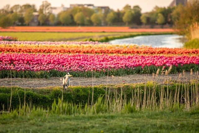 Ferie som ældre - hvad skal du være opmærksom på, og 4 tips til at få den bedste tur