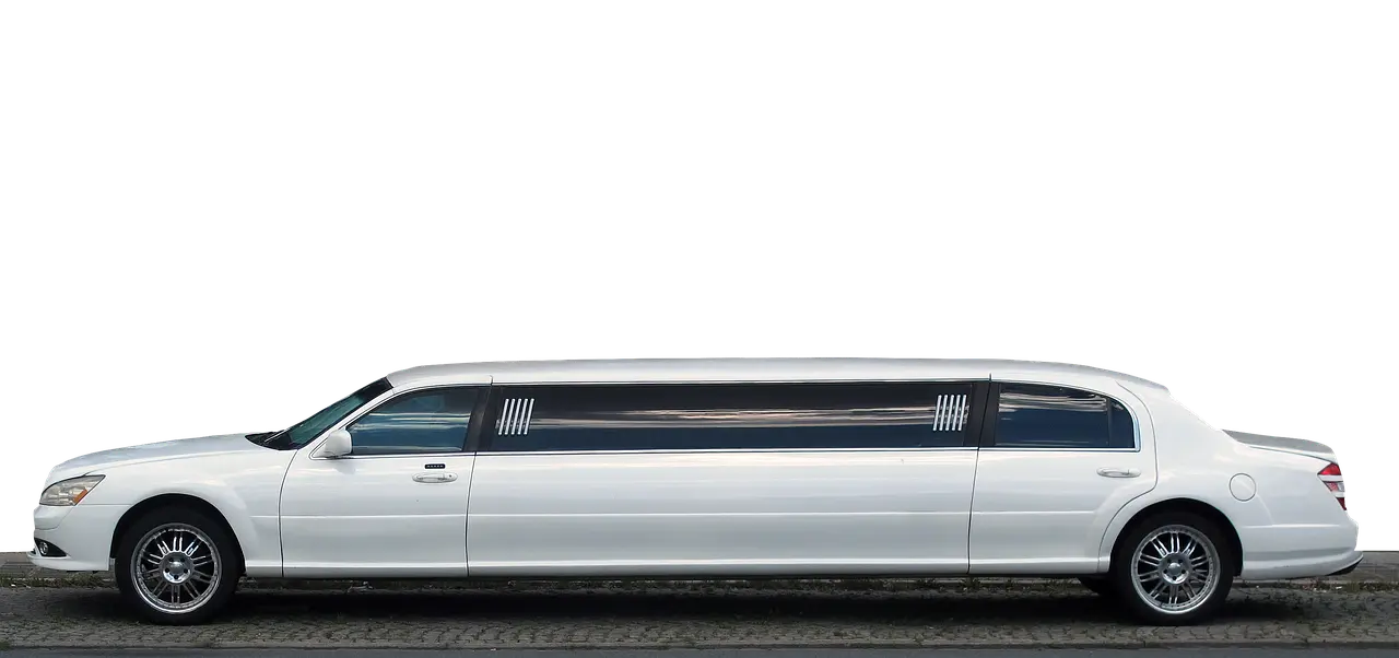 5 sikre strækøvelser mod lændesmerter for seniorer